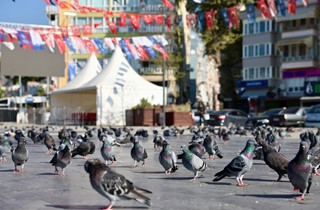 Zeytinin Bereketi Kahvaltı Sofrasına Taşındı